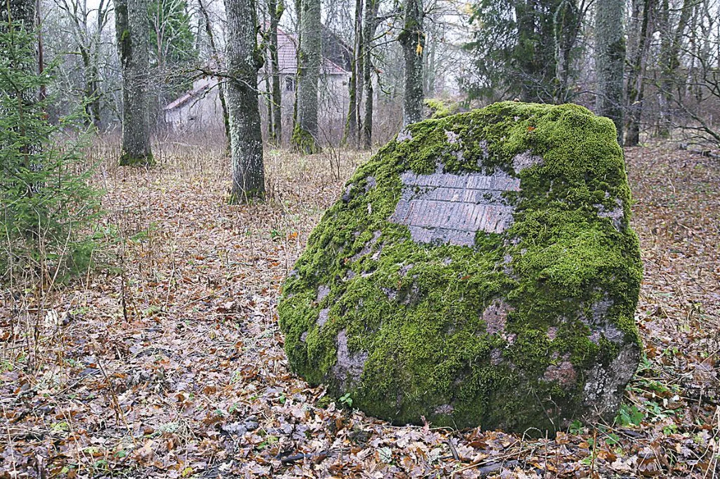 Looduskaitsealusesse Pööravere parki paigaldati 1974. aastal loodussõprade osavõtul mälestuskivi akadeemik Middendorffile.