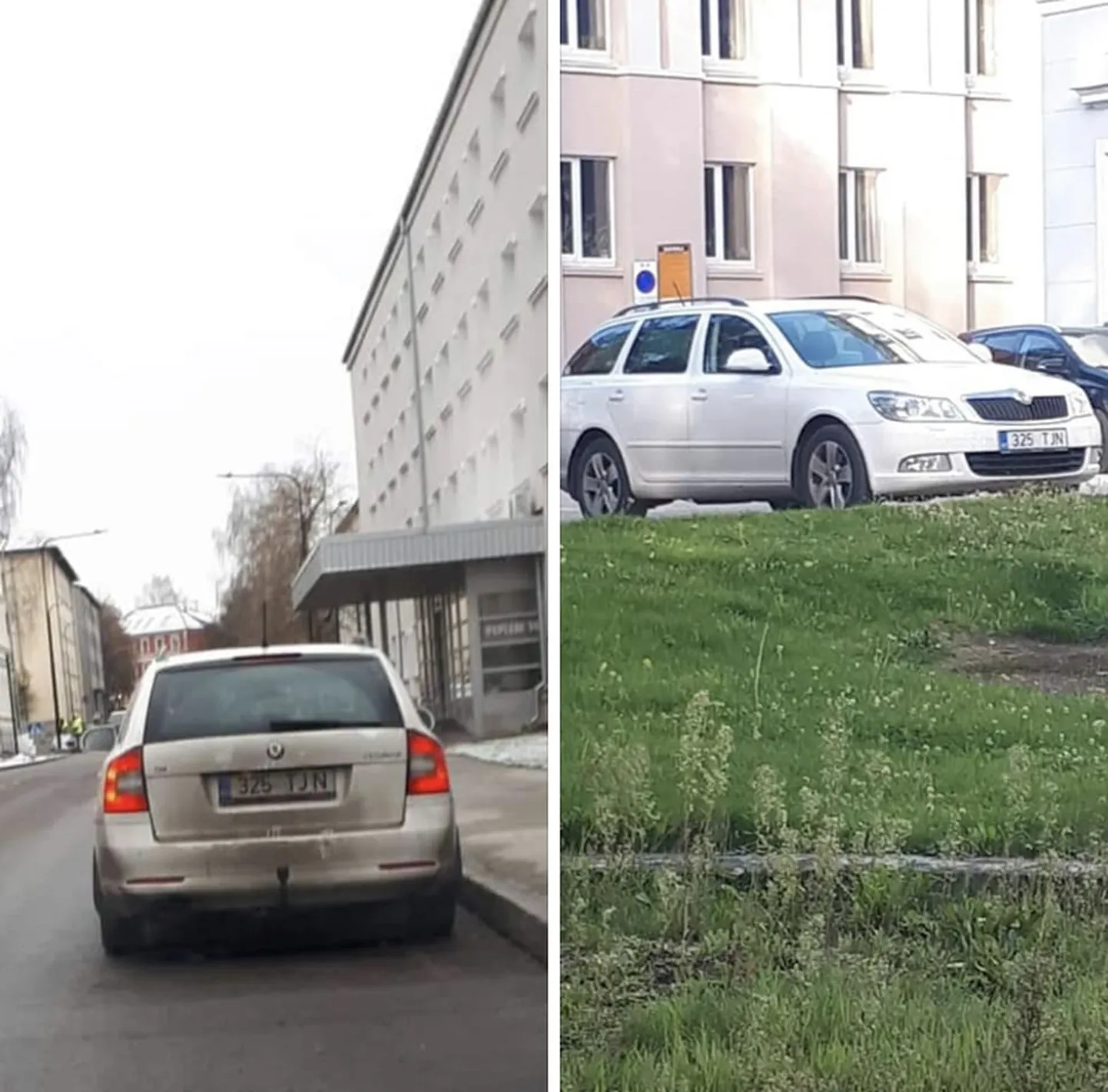 Фото статьи