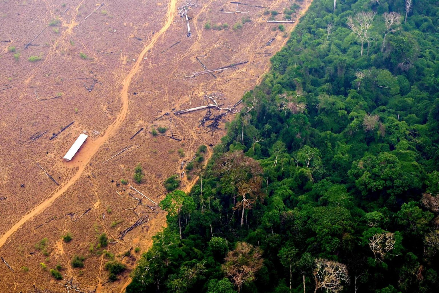 Amazonase vihmametsa hävitamine põllumajandusmaa saamiseks Põhja-Brasiilias, 2. septembril 2022.