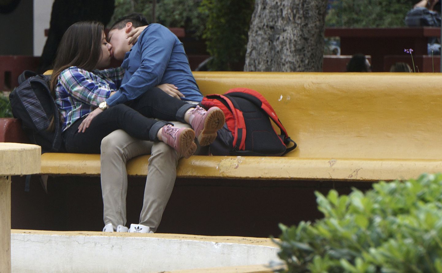 Suudlevad üliõpilased Mehhiko Guadalajara ühes pargis