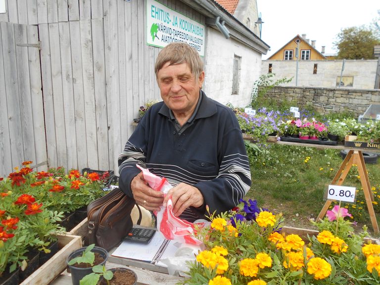 NB! Sikassaare aiandi taimi müüakse ka Tallinna tn 25 hoovil E–R 8–18; L 9–15. Müüja Rein Trei.