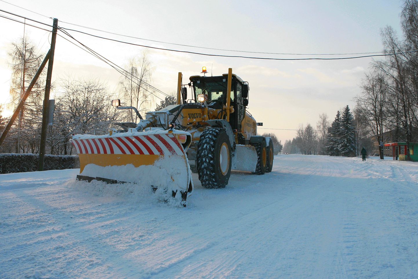 Lumekoristus Viljandimaal Halliste külas.