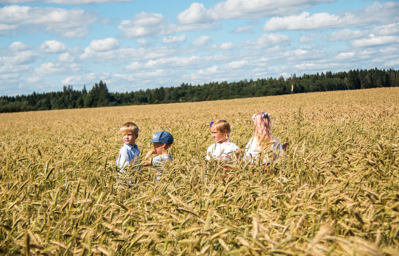Eelmise aasta viimase päeva seisuga oli maakatastri statistika põhjal Eestis 1 042 595 hektarit haritava maa kõlvikuid, mis moodustab Eesti maismaa pindlast 24 protsenti.
