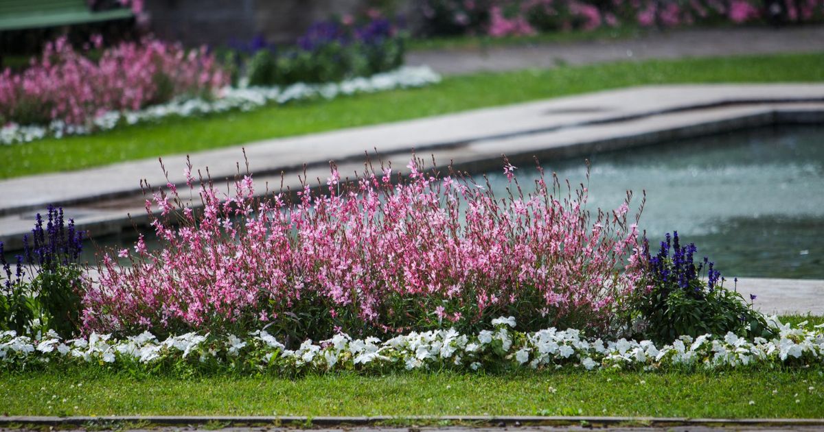 Kesklinna haljasalade hooldaja jäi taas leidmata