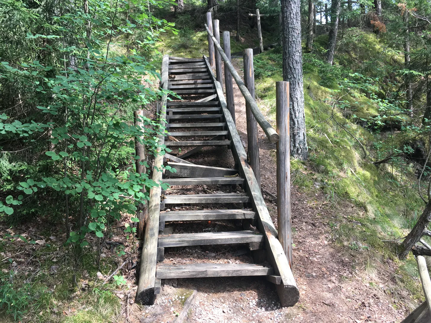 Võhandu jõe ürgorgu laskuvad trepid on ajale jalgu jäämas.