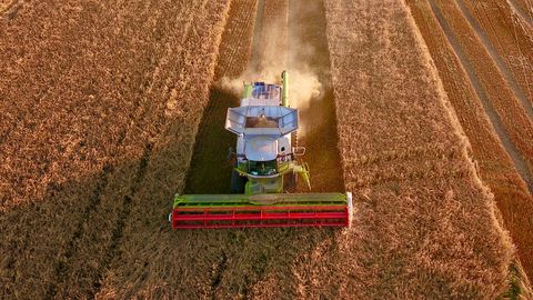 Erinevalt Eestist toetab Läti oma põllumehi lubatud maksimummääras 