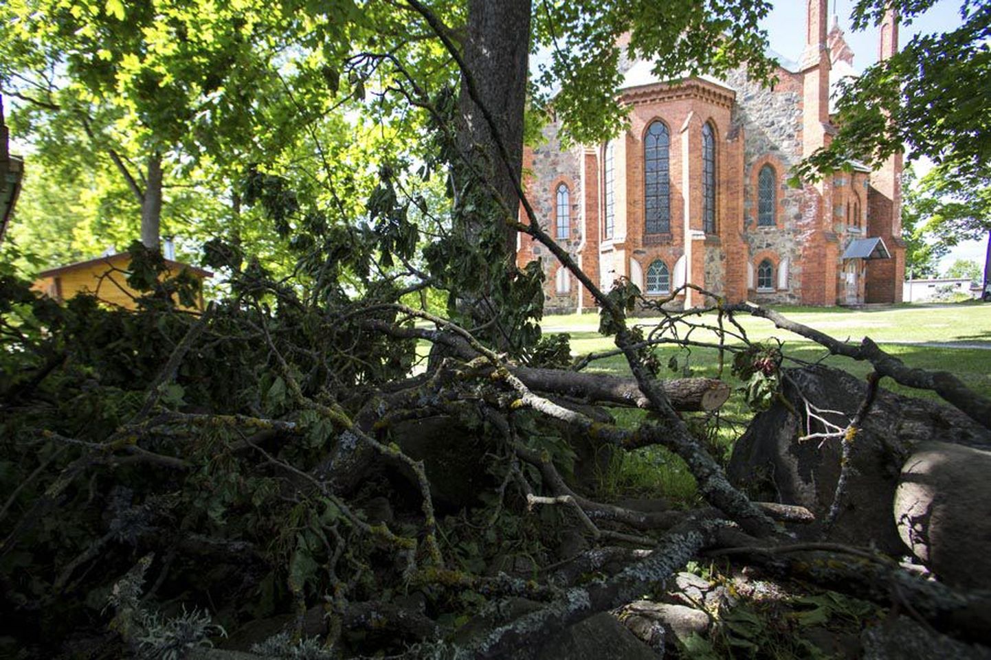 Veel eile võis Viljandi Pauluse kiriku kõrval näha oksahunnikut. Needsamad oksad tekitasid läinud reedel Mulgi messil äreva olukorra.