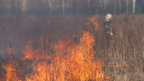 Latvijā turpina uzdarboties kūlas dedzinātāji: piektdien dzēsti vairāki desmiti ugunsgrēku
