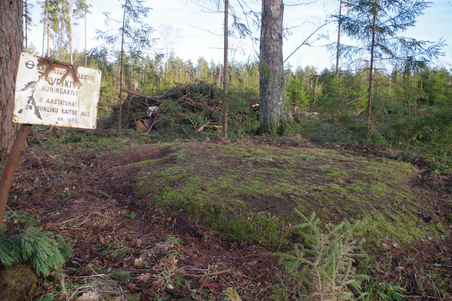 Kuningakivi on leitav selle juures oleva kulunud metalltahvli järgi.
