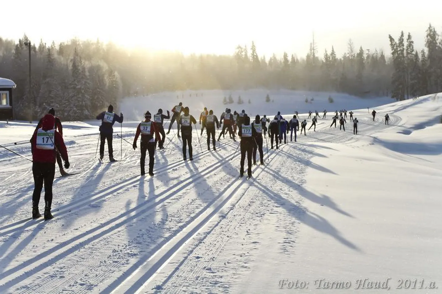 Tart maraton