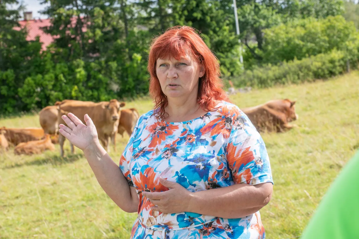 Konkursikomisjon käis külas lihaveisekasvatajal Diana Pärnal.