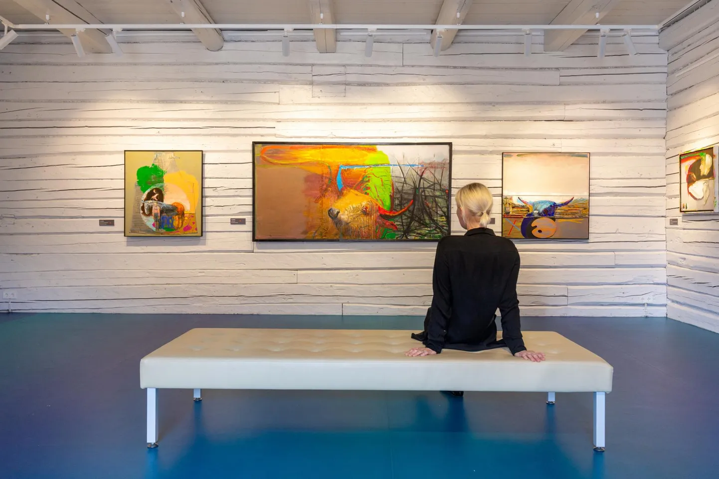 Kunstnik Tiit Pääsukese värskes maaliloomingus kordub härjamotiiv. Valik maale jõudis Viljandisse Tartust, kuid kunstnik eksponeerib ka uusi töid, mis on loodud spetsiaalselt Viljandi näituse tarvis.