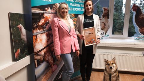 Selgusid aasta kõige loomasõbralikum ja -vaenulikum tegu