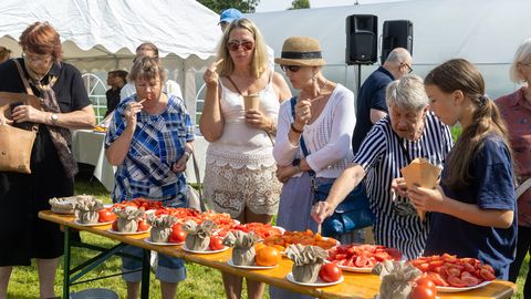 GALERII ⟩ Tomatid said naabrite juures Jõgeval endale täitsa oma päeva