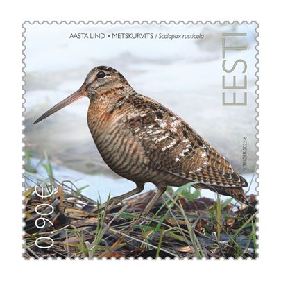 Почтовая марка с изображением птицы года.