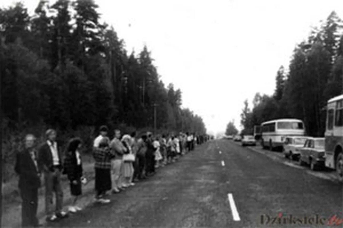 Raksta foto