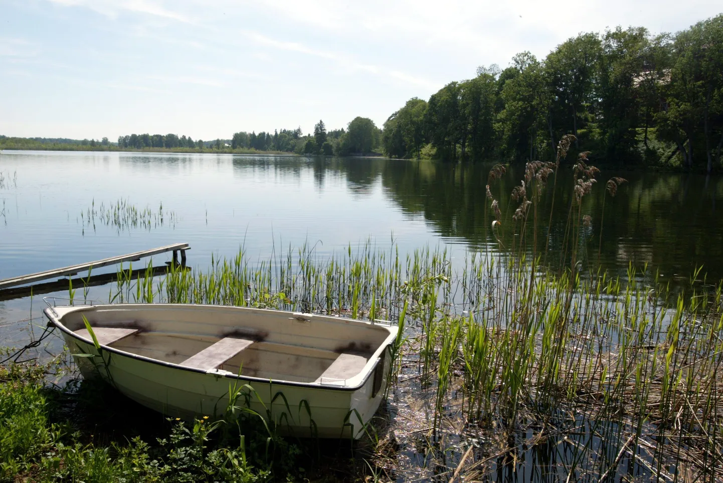 Suvi. Pildil on Porkuni järv.