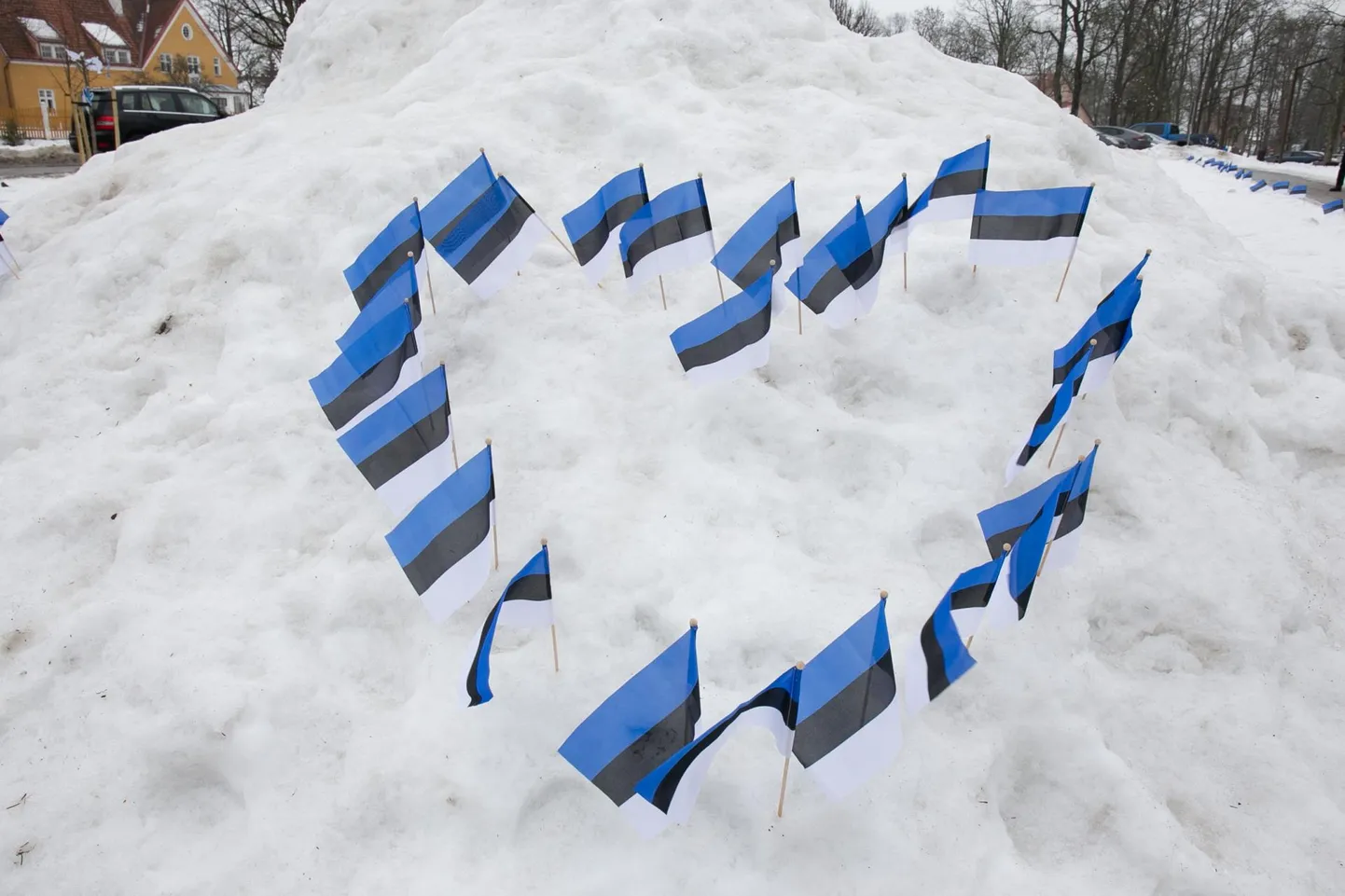 103. aastapäeva tähistati Viljandis muu hulgas sellega, et Vabaduse platsil olid lumehange südamekujuliselt pistetud Eesti lipud.