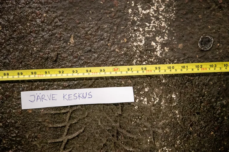 Järve keskus