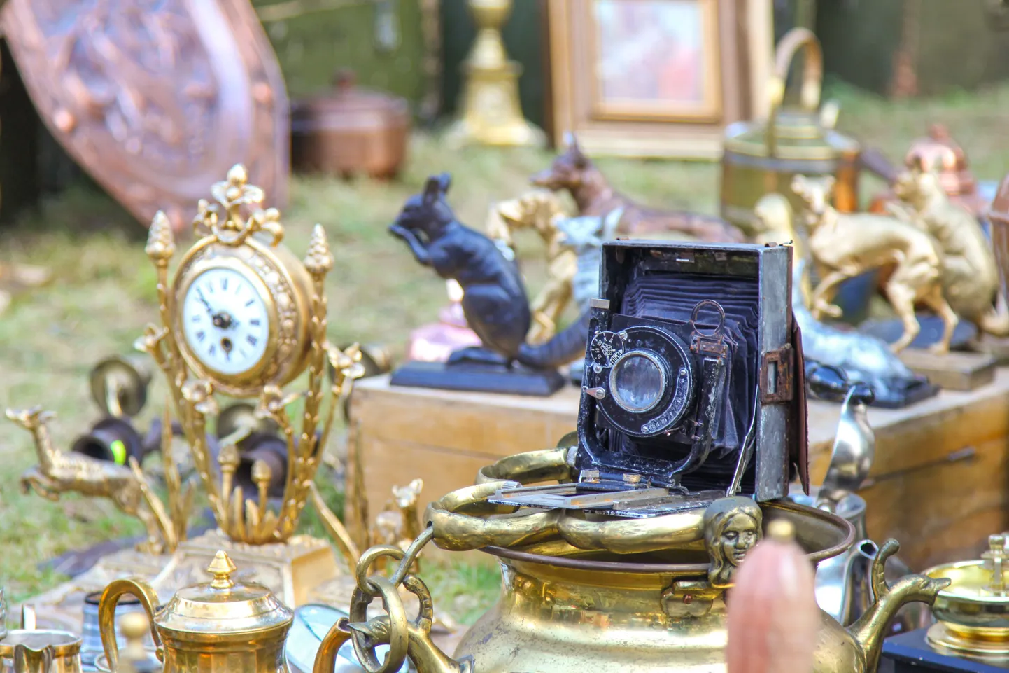 Selliseid lõõtsaga aparaate võib kohata muuseumides ja erakogudes. Kuigi neid enam tavakasutuses ei ole, kasutatakse makrofotode tegemiseks lõõtsaga aparaate siiski isegi tänapäeval.