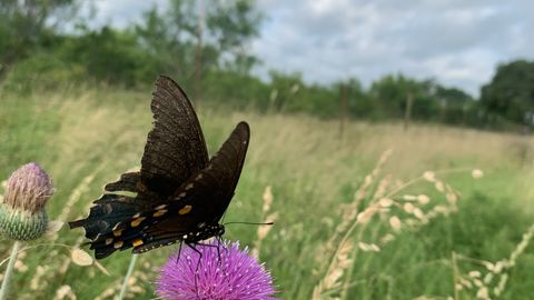 Otrdien gaidāms apmācies, bet silts laiks