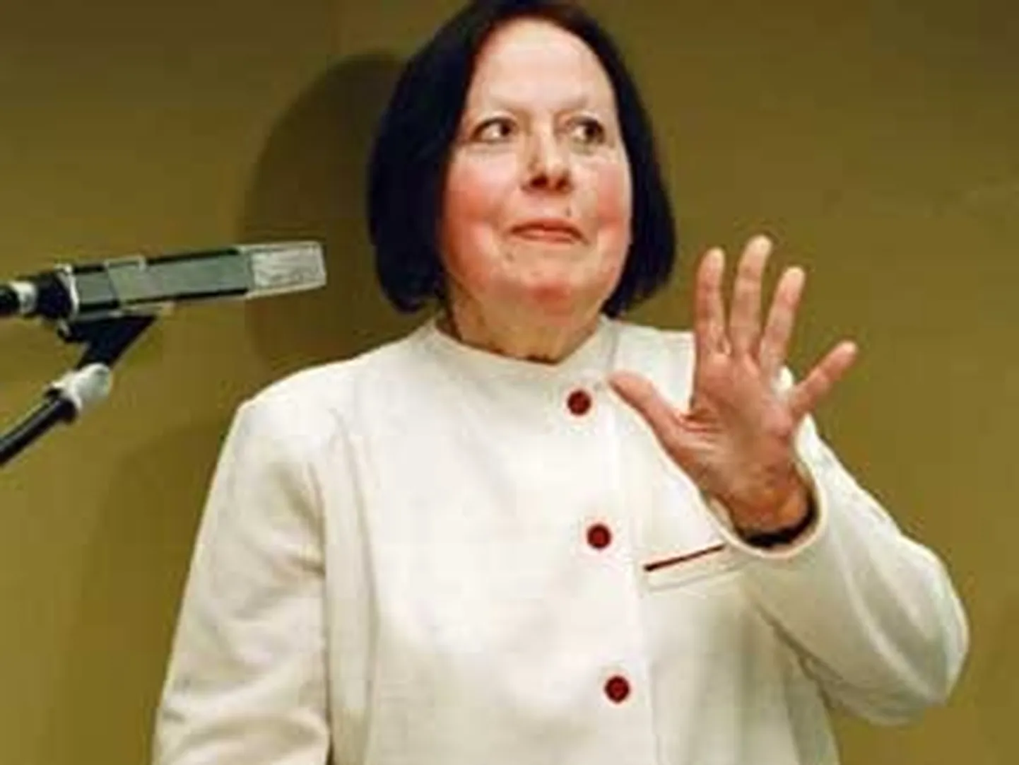 Raksta foto