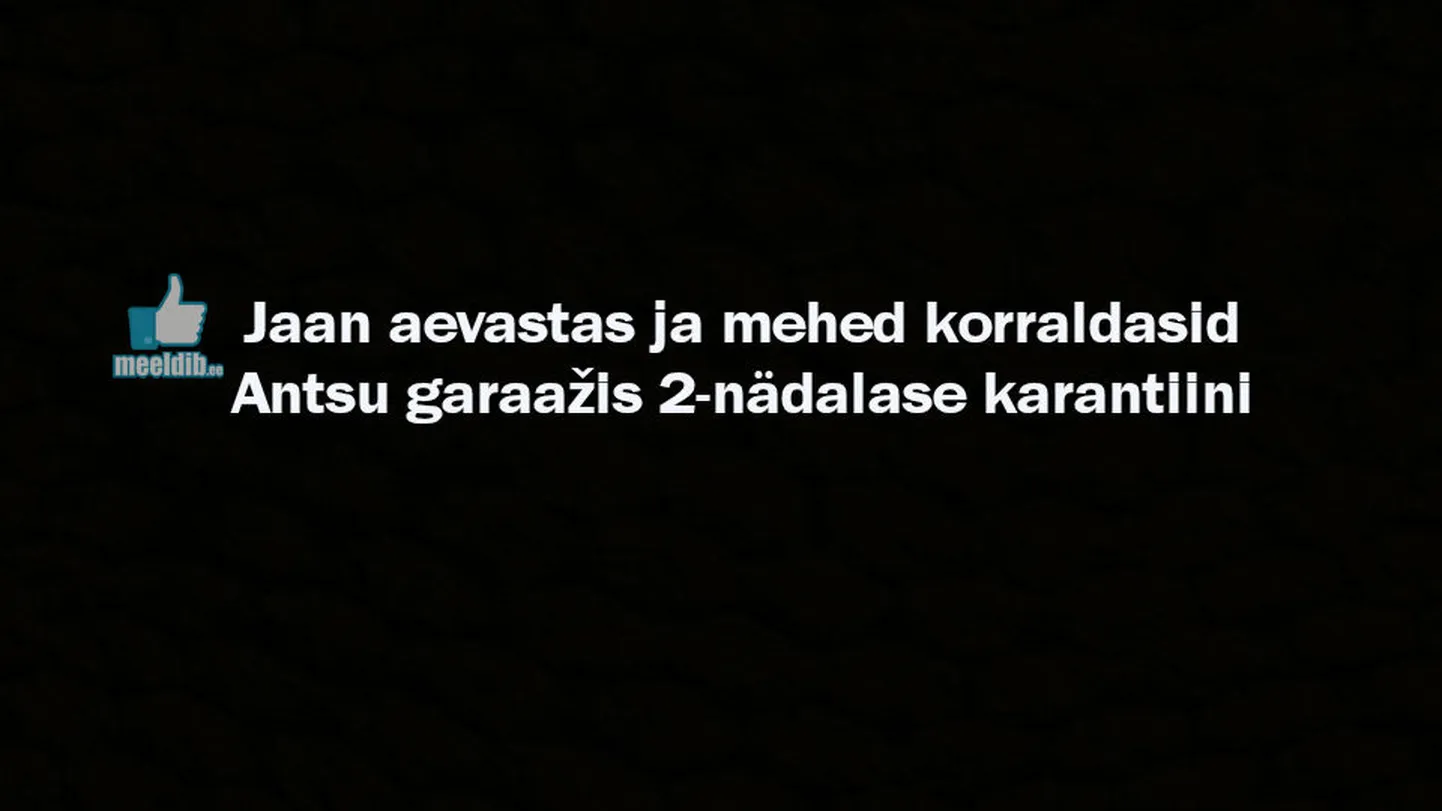 Artikli foto