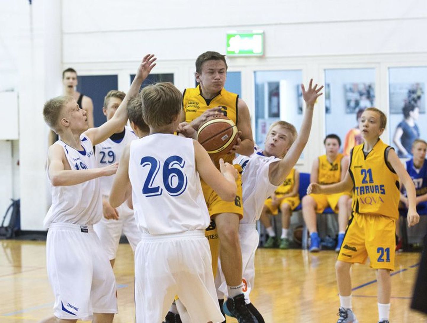 Võistlushetk Maheda Cup korvpalliturniiri avapäeva mängust BC Tarvas/Rakvere SK (kollane) - FOKOPO.