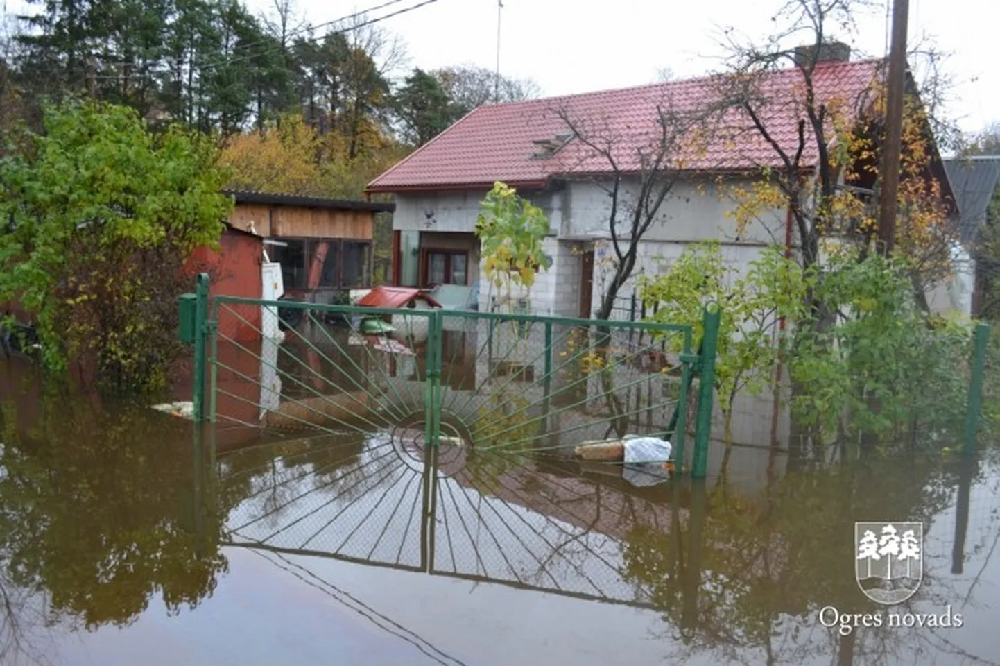 Raksta foto