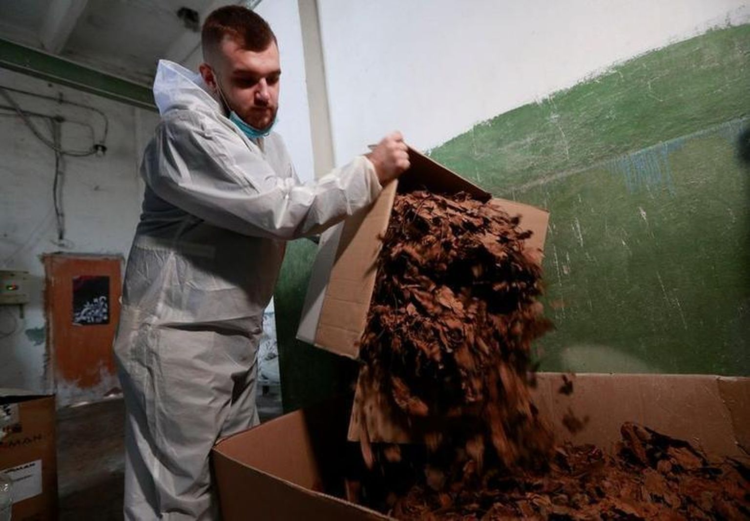 Ukrainas asuvas tehases muutuvad Euroopa suurlinnadest kogutud puulehed paberiks.