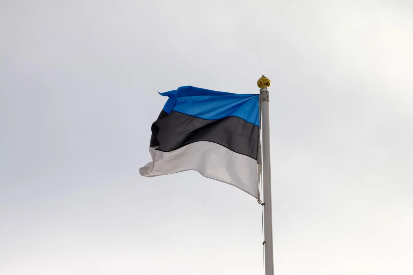 Teisipäeval on lipupäev.