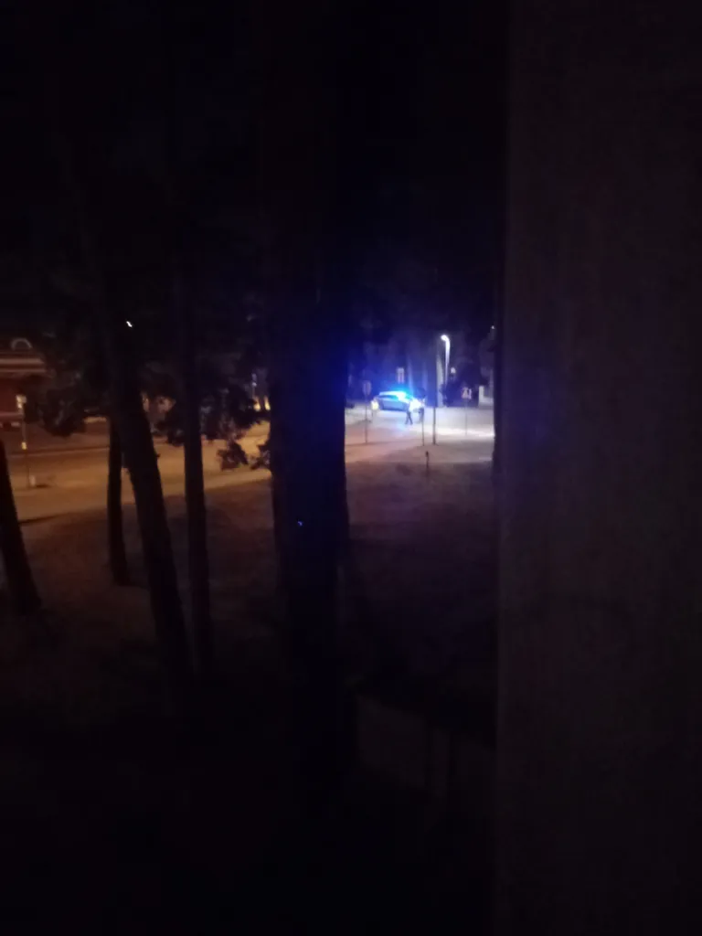 Фото статьи