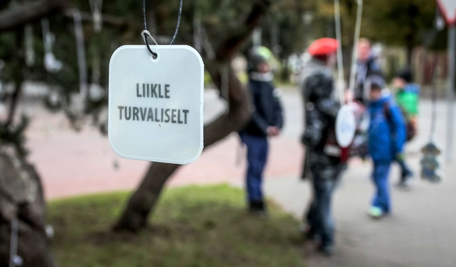 Helkuripuu Pärnu lastepargis.