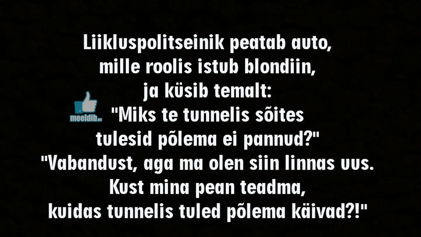 Artikli foto