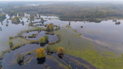 Viies aastaaeg sügise hakul on haruldane vaatepilt