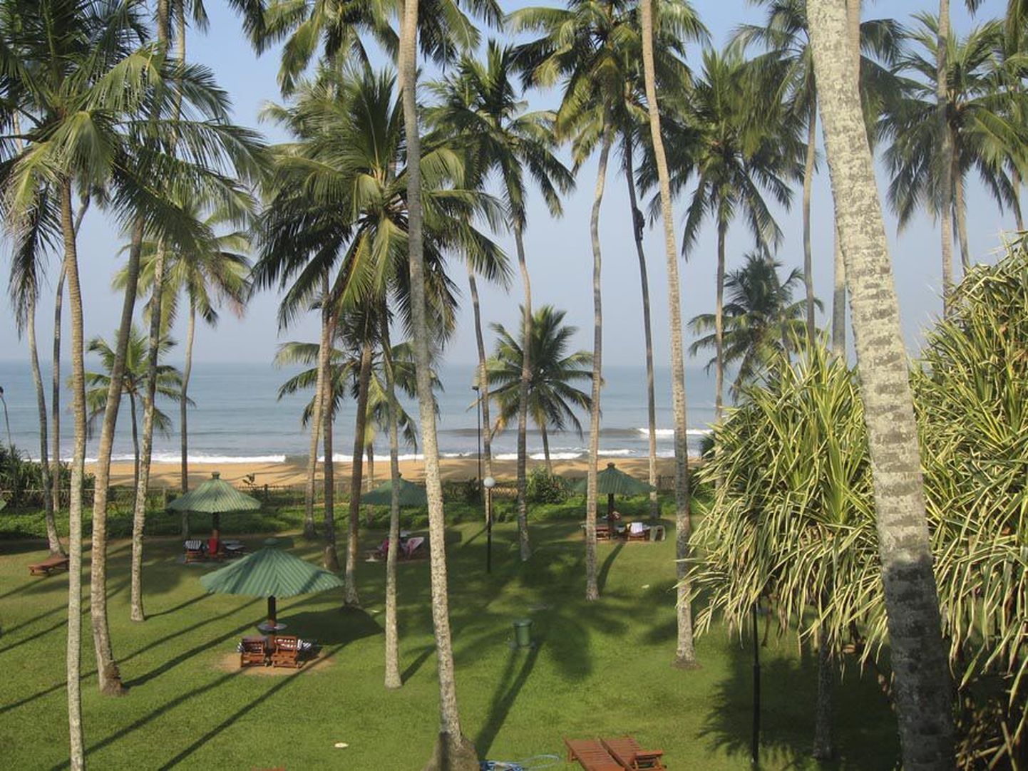 Tangerine Beach. Hotellitoa aknast avanes vaimustav vaade kõrgetele kookospalmidele ning aia taga mühavale India ookeanile. Paremal näeb pikkade õhujuurtega mangroovipuud.