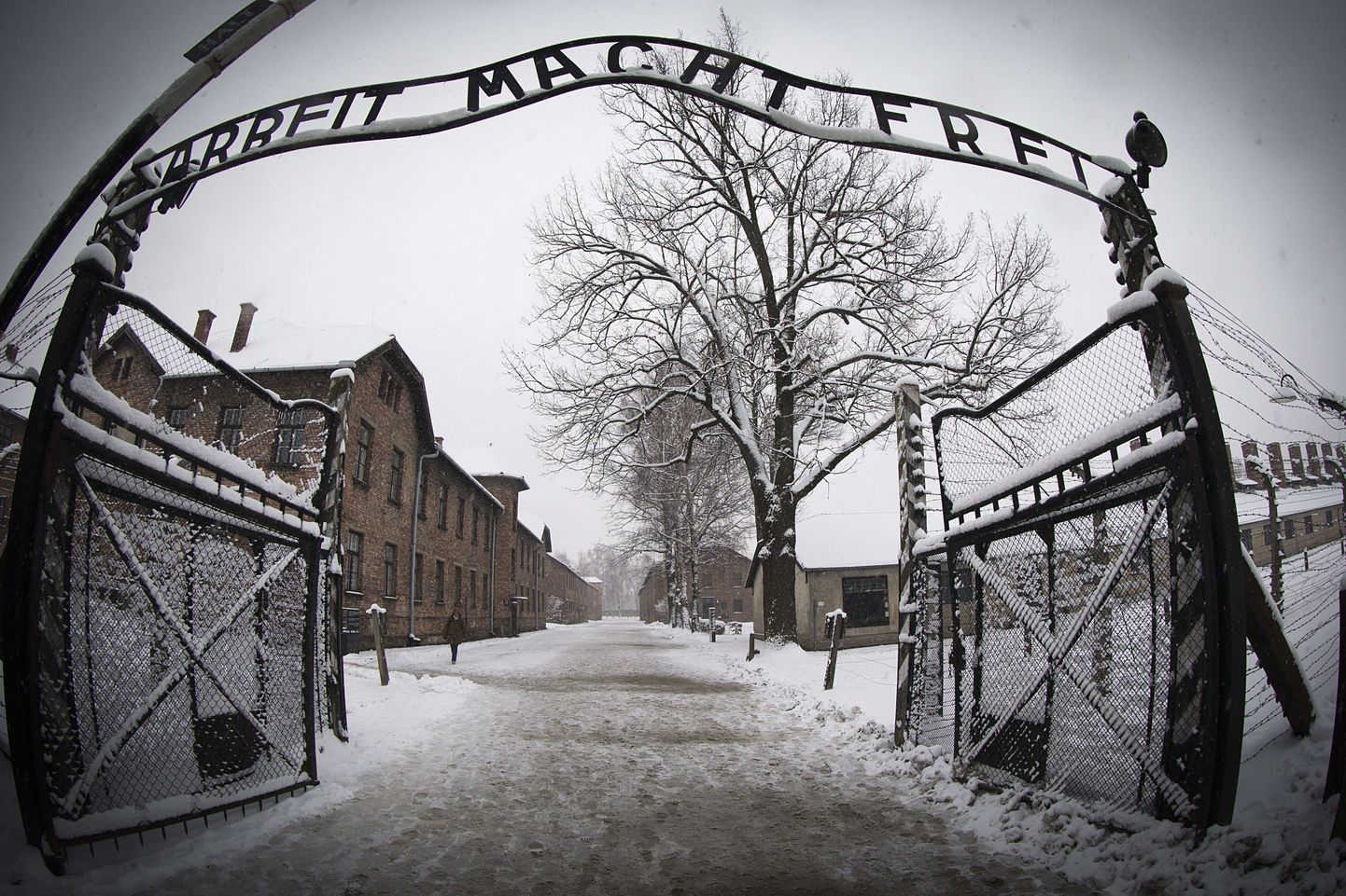 Poolas esitati süüdistused Auschwitzis lamba ohverdanud rühmale.