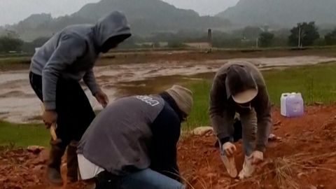 VIDEO ⟩ Brasiilias avastati pärast tugevat vihmasadu dinosauruse skelett