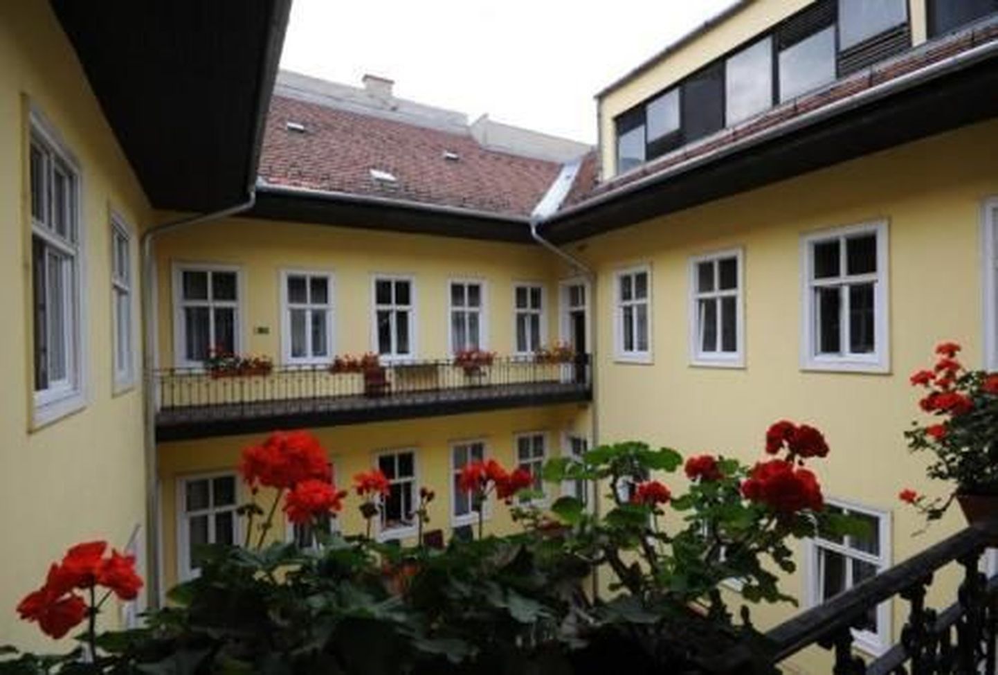 City Guesthouse Flora Budapestis