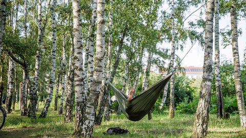 Arī otrdiena priecēs ar siltumu