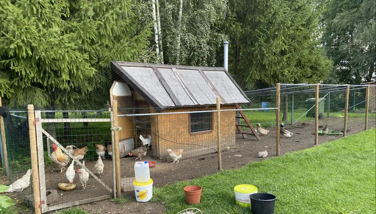 Tamme hobitalus ehitatakse Hooandja toel kanalat järjest laiemaks.