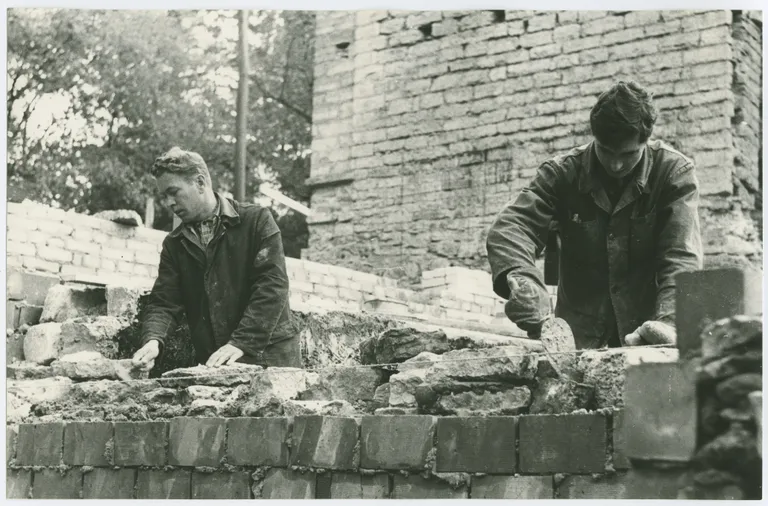 Artikli foto