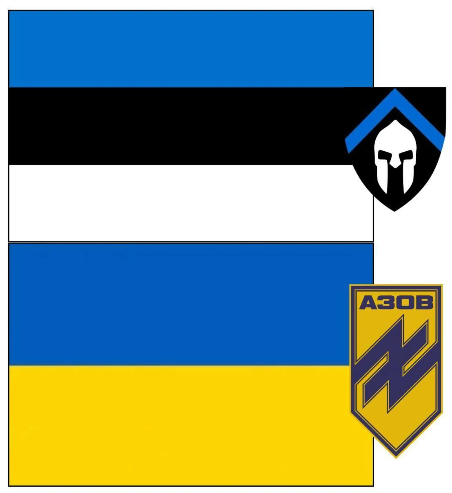 Eesti inimeste annetatud toetus brigaadile Azov on üle antud.