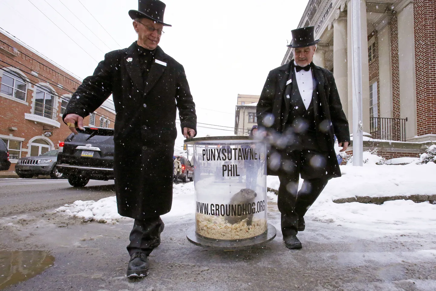 Punxsutawney Phil