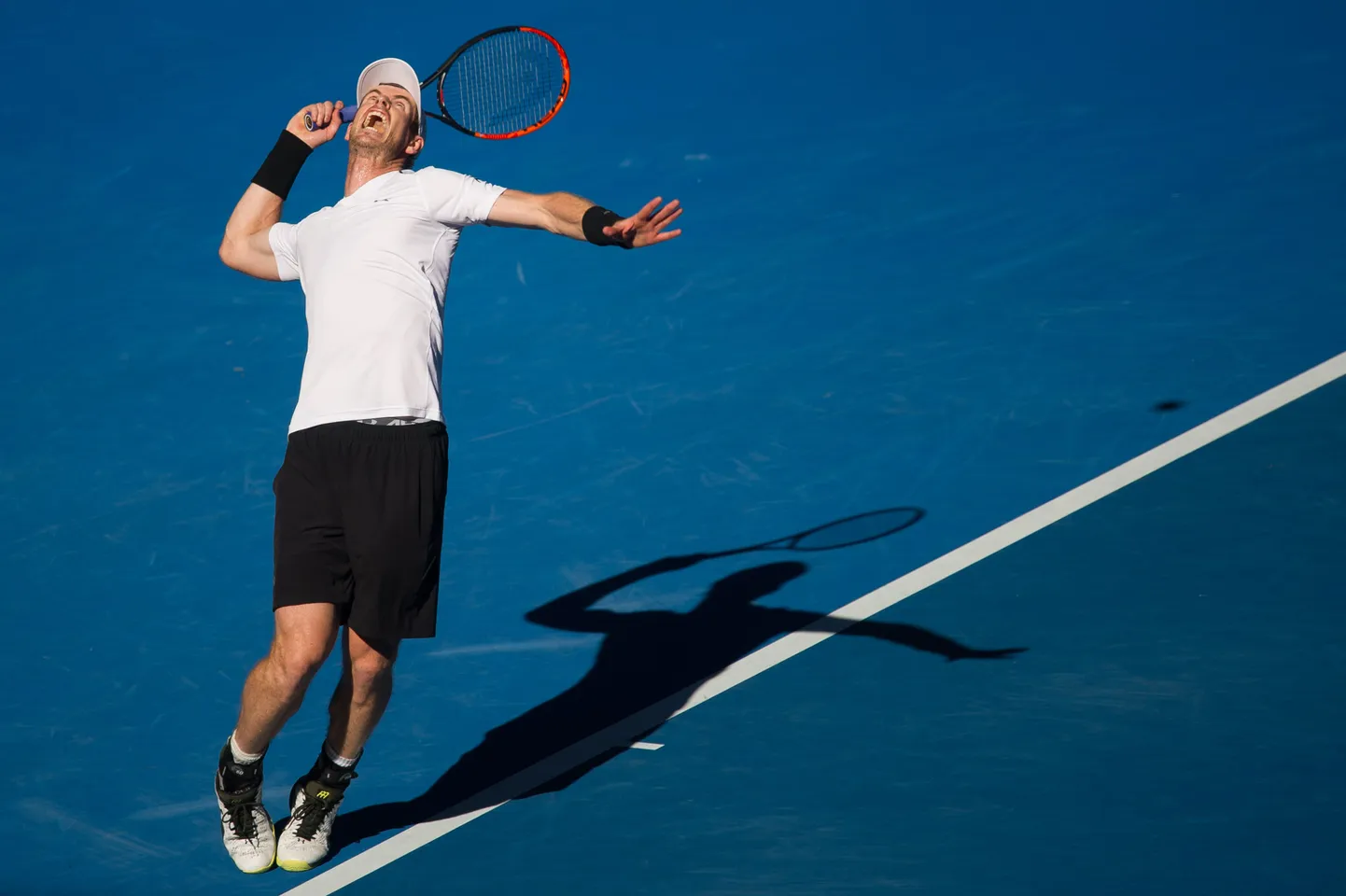 Andy Murray.