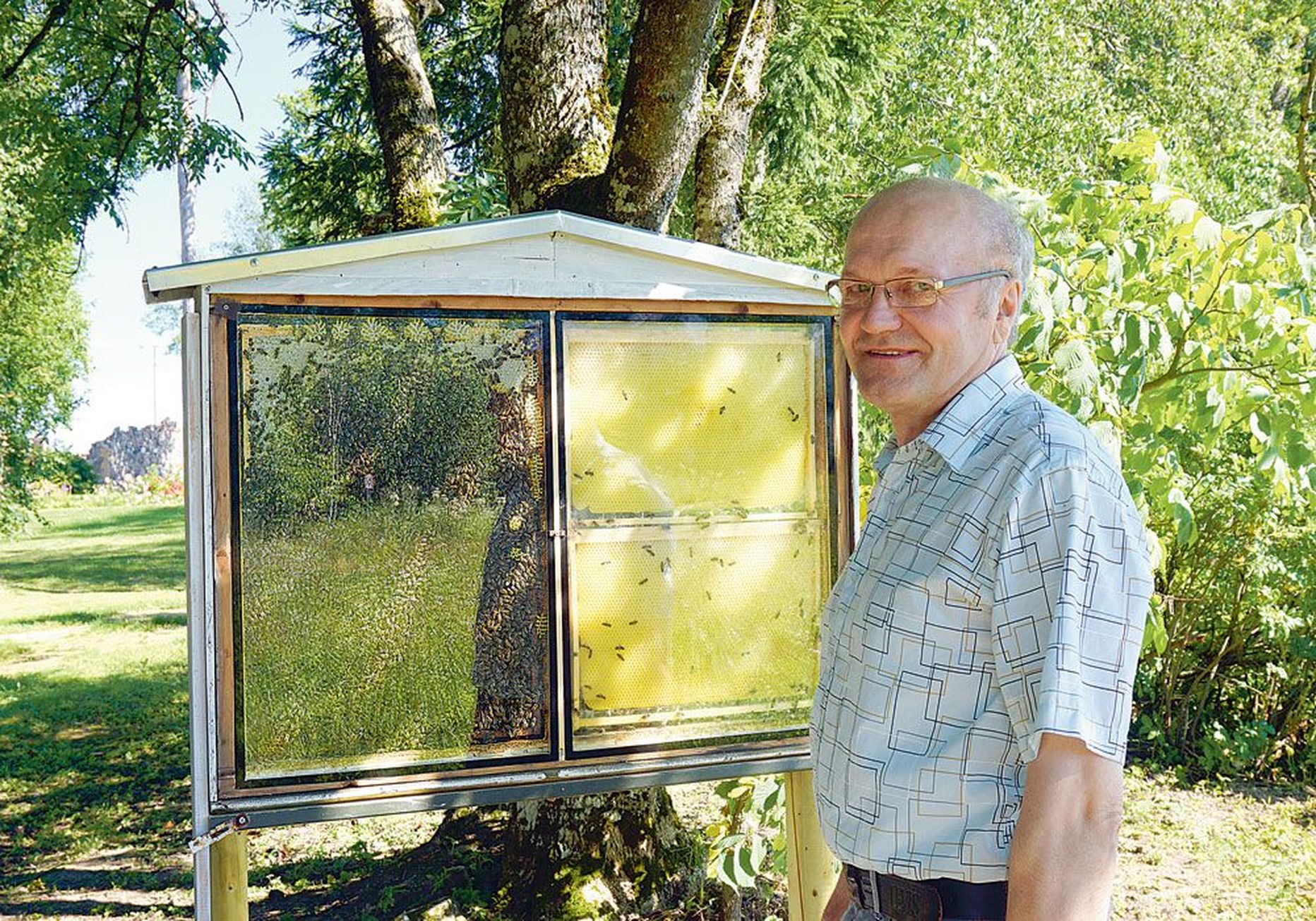 Mesinik Harivald Haljas 
tutvustamas mesilaste 
vaatlustaru Metsamõisa talus.
