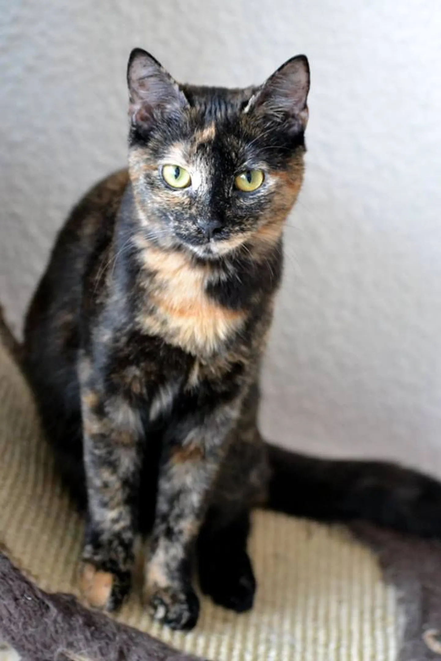 Ronja.