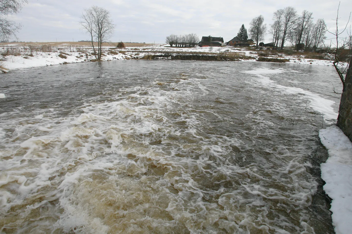 Tarvastu jõgi