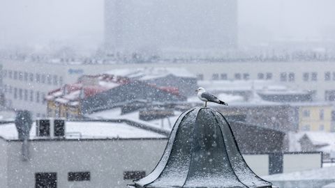 ФОТО ⟩ Эстонию накрыло снежным одеялом