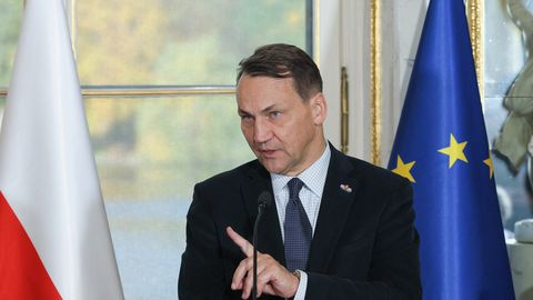 Sikorski: Putin se je odločil biti vazal Kitajske, ne zaveznik Zahoda